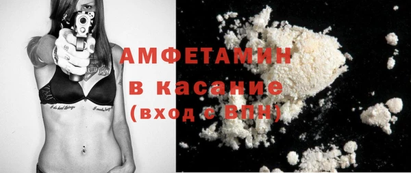 индика Лиски