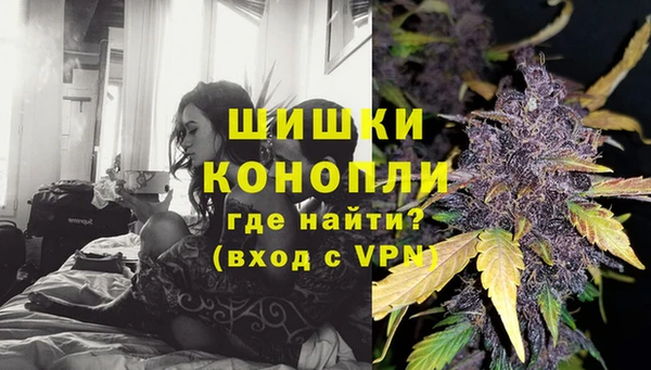 индика Лиски