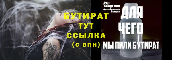шишки Магас