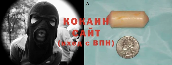 шишки Магас