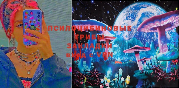 шишки Магас