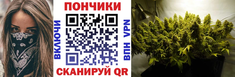 хочу наркоту  Старый Крым  Шишки марихуана конопля 